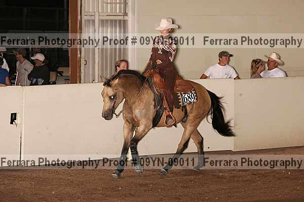 Proof 09yn-09011