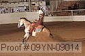09yn-09014 proof