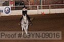 09yn-09016 proof