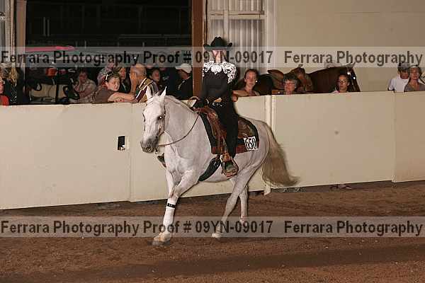 Proof 09yn-09017
