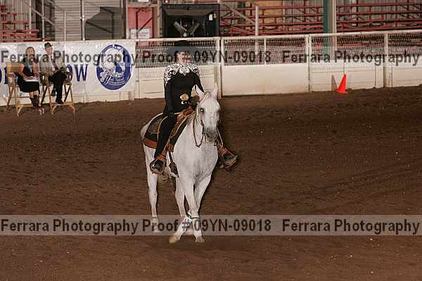 Proof 09yn-09018