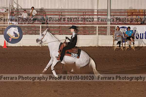 Proof 09yn-09020