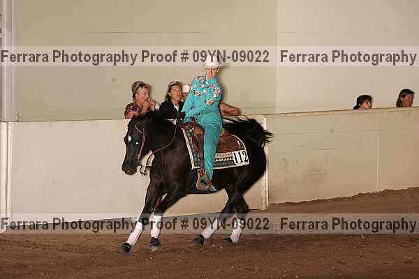 Proof 09yn-09022