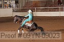 09yn-09023 proof