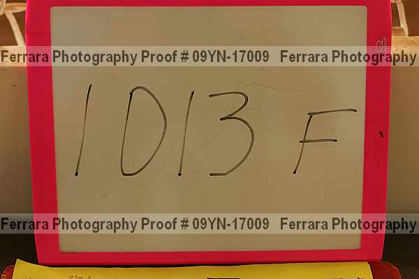 Proof 09yn-17009