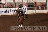 09yn-17011 proof