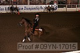 09yn-17015 proof