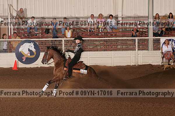 Proof 09yn-17016
