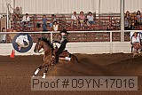 09yn-17016 proof