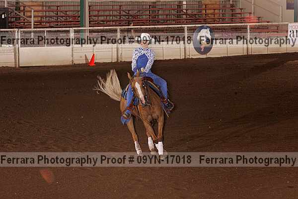 Proof 09yn-17018