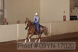 09yn-17020 proof