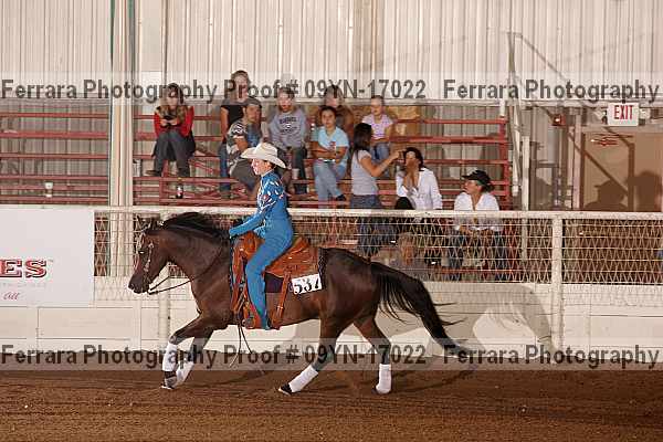 Proof 09yn-17022