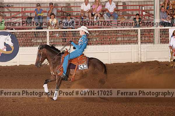 Proof 09yn-17025