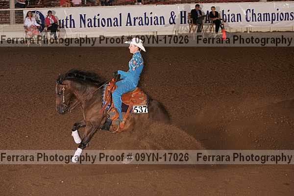Proof 09yn-17026