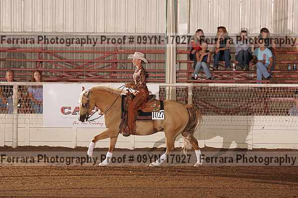 Proof 09yn-17027