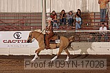 09yn-17028 proof