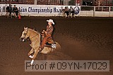 09yn-17029 proof