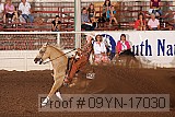09yn-17030 proof