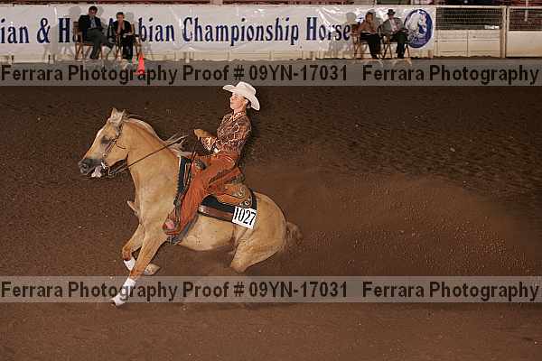 Proof 09yn-17031