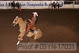 09yn-17031 proof