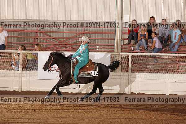 Proof 09yn-17032