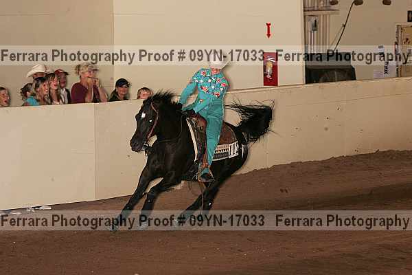 Proof 09yn-17033