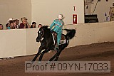09yn-17033 proof