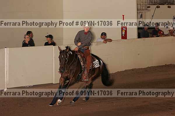 Proof 09yn-17036
