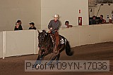09yn-17036 proof