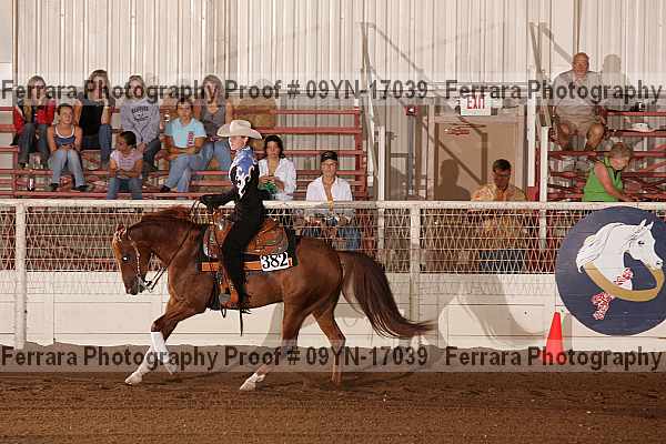 Proof 09yn-17039