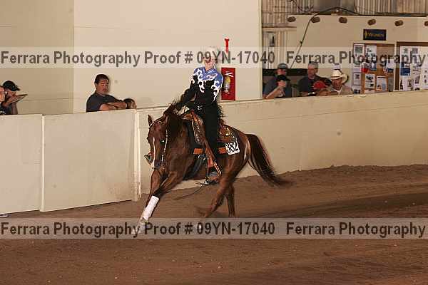 Proof 09yn-17040