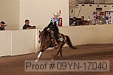 09yn-17040 proof