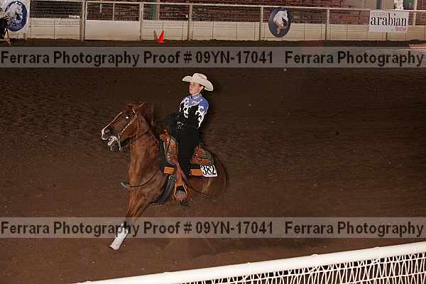 Proof 09yn-17041