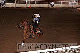 09yn-17041 proof