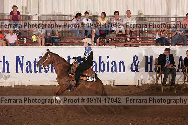 Proof 09yn-17042