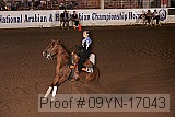 09yn-17043 proof