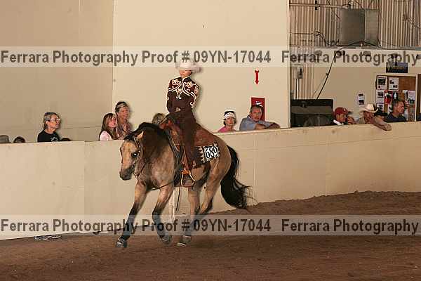 Proof 09yn-17044