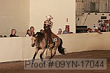 09yn-17044 proof