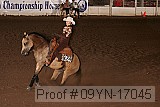 09yn-17045 proof