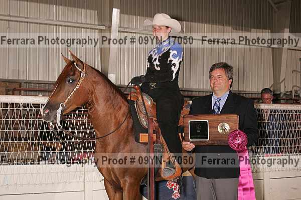 Proof 09yn-17050