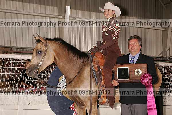 Proof 09yn-17053