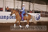 09yn-17063 proof
