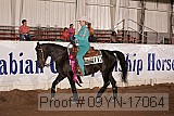 09yn-17064 proof