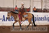 09yn-17067 proof