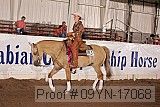09yn-17068 proof