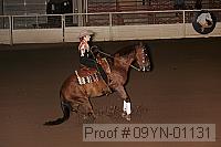 09yn-01131 proof