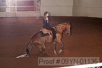 09yn-01135 proof