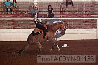09yn-01136 proof