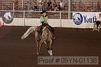 09yn-01138 proof