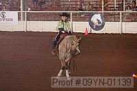 09yn-01139 proof